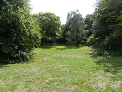 Picture 30